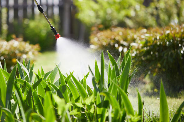 24/7 Emergency Termite Control experts in Gering, NE